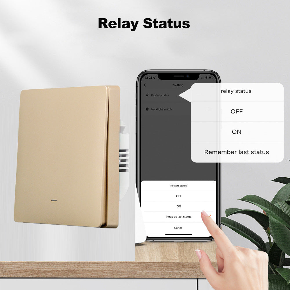 Tuya Wi-Fi Smart Switch No Neutral Works with Alexa Google Home Smartlife Yandex