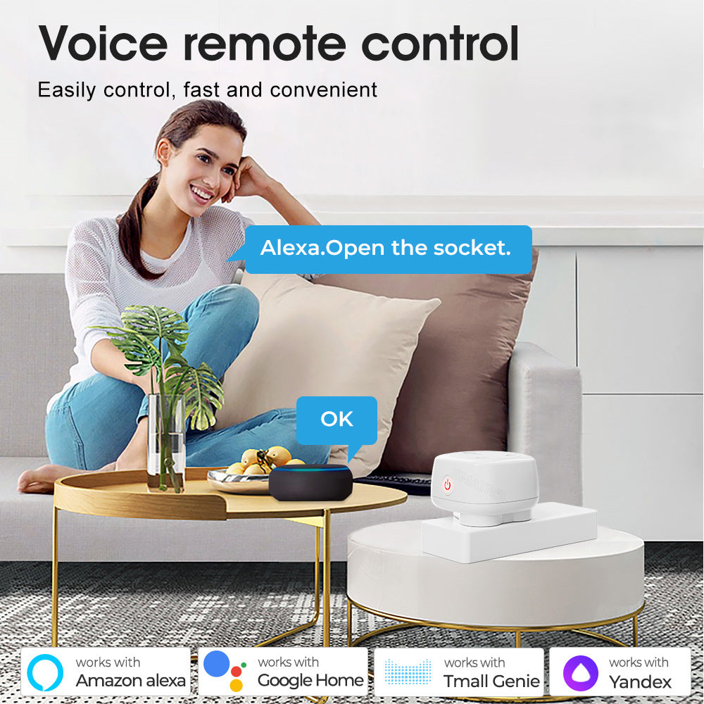 Wi-Fi Smart Socket India South Africa Plug 16A Power Monitor Works with Alexa Google Home Tuya Smartlife