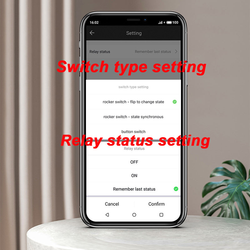 Zigbee Smart Switch Relay Module Works with Alexa Google Home Smartlife Tuya