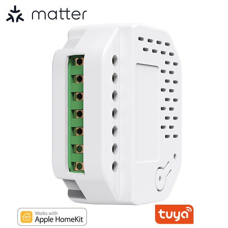 Matter WiFi Smart Switch Module Relay 2 Gang Works with Homekit Tuya S –  Lonsonho Tech.