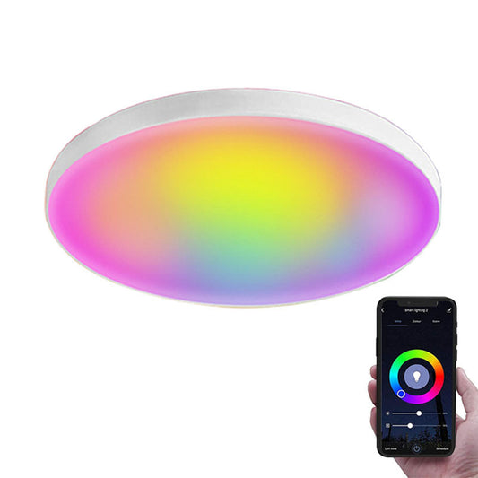 Tuya Wi-Fi / Homekit / Zigbee Smart Ceiling Lamp