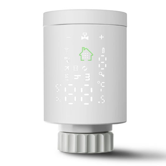 Smart Thermostat Radiator 