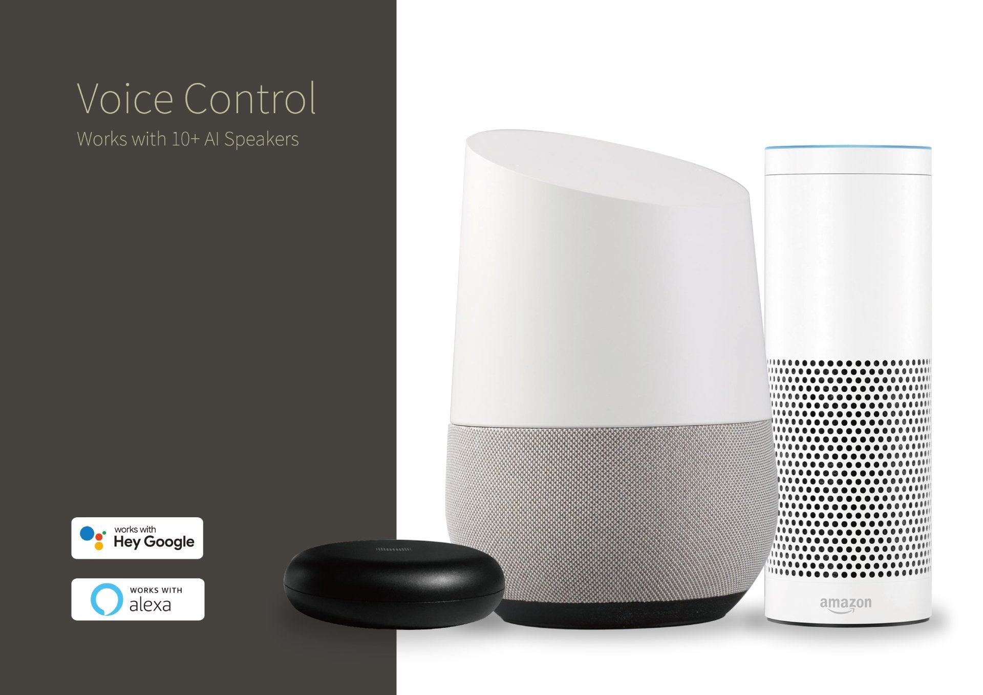 Voice Control by Alexa Google Home