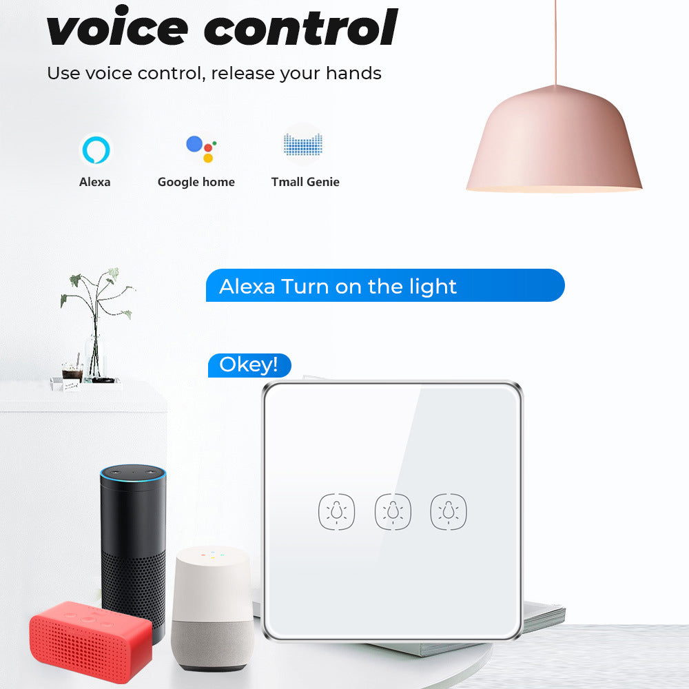 alexa google home voice control