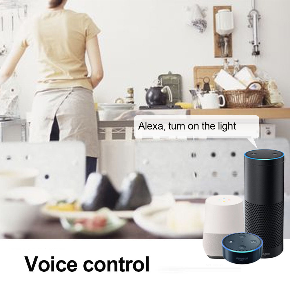 Voice control by Alexa and Google home